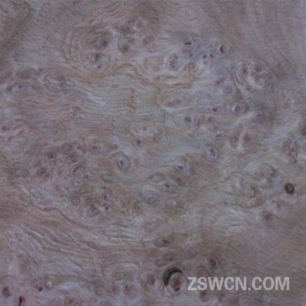 橡木树榴 天然木皮 素材贴图  橡木饰面板贴图