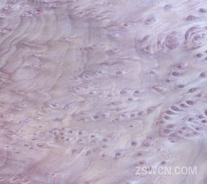 红木树榴 天然木皮饰面板 3d效果图素材贴图