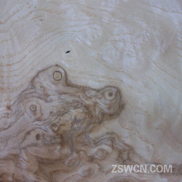 橄榄树榴 天然木皮饰面板 3d效果图材质素材