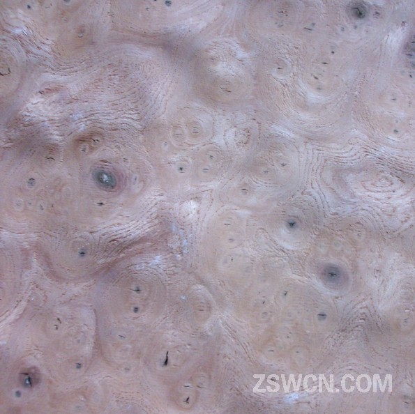 榆木树榴 天然木皮饰面板 榆木皮贴图 3d效果图素材
