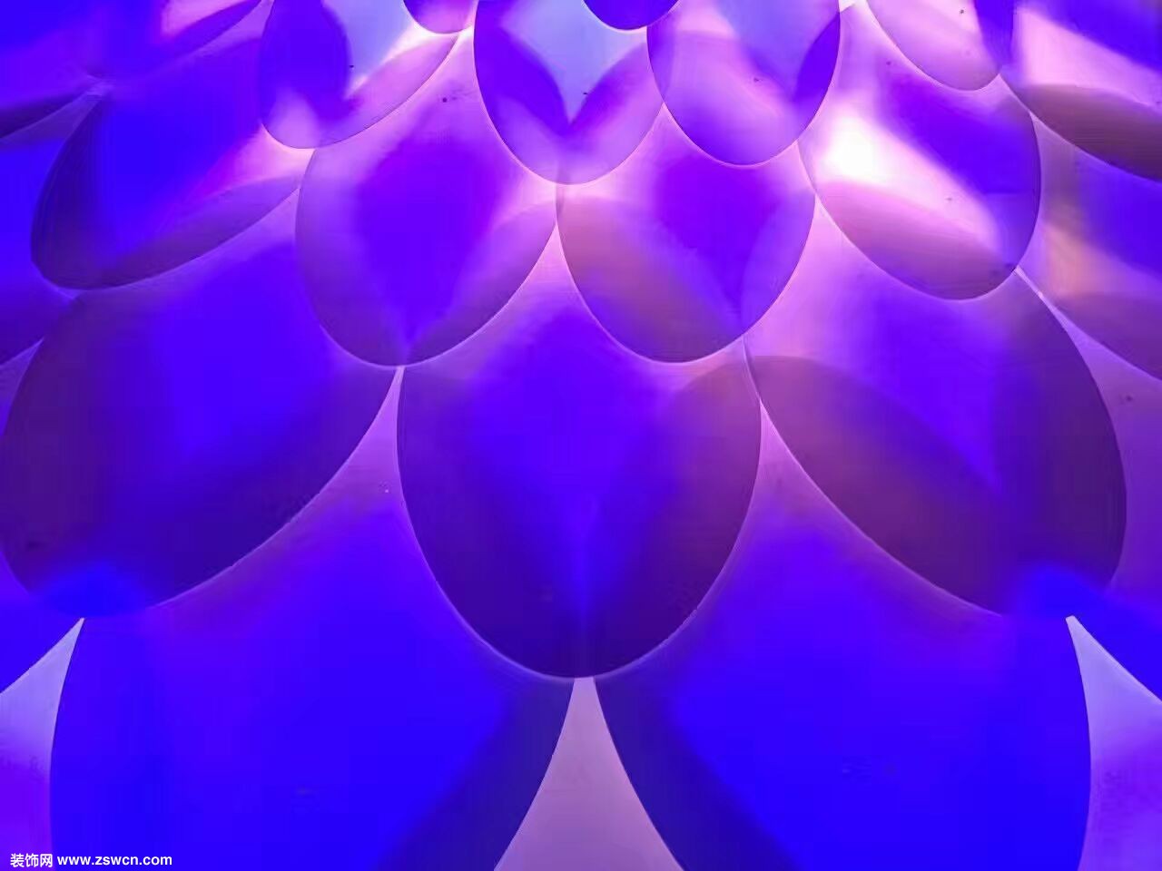 ˹͸Яҵ滮Ժܽʦº ޣƻϺ˼Ϲ