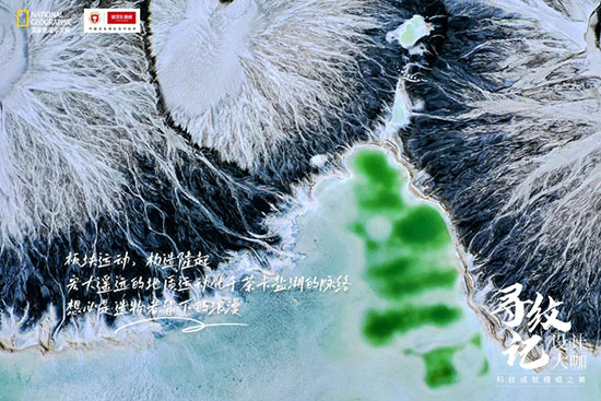 寻纹记丨诺贝尔瓷砖追寻极致纹理,将大自然所有美送进你的家