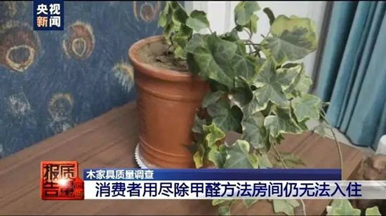 新房装修,家具为什么选铝不选木?